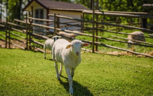 Högby Spa & Konferens - by Petit Hotel Sweden - Suède | Charme & Caractère
