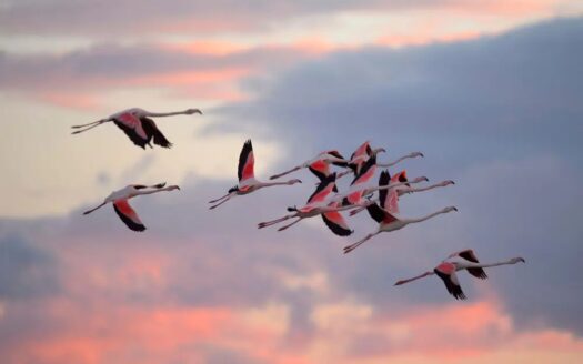 Mas du Couvin - France | Charme & Caractère